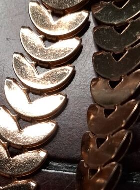 Paparazzi Gold and Bronze Necklace